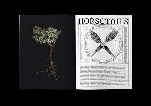 CGDA 2019視覺傳達設(shè)計獎獲獎作品賞析